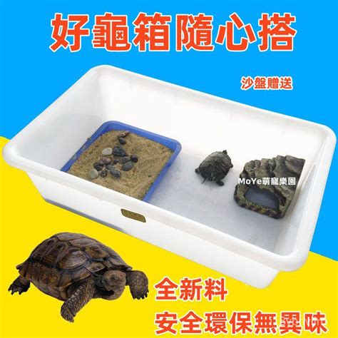 魚缸養烏龜|烏龜飼養：4個必備工具